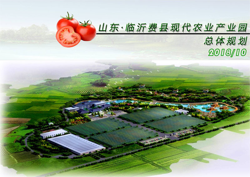 山东临沂费县现代农业产业园总体规划